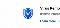 Virus & Malware in Delhi