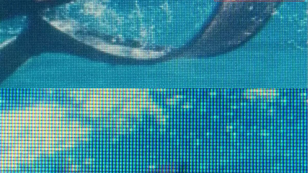 Liquid Crystal Display