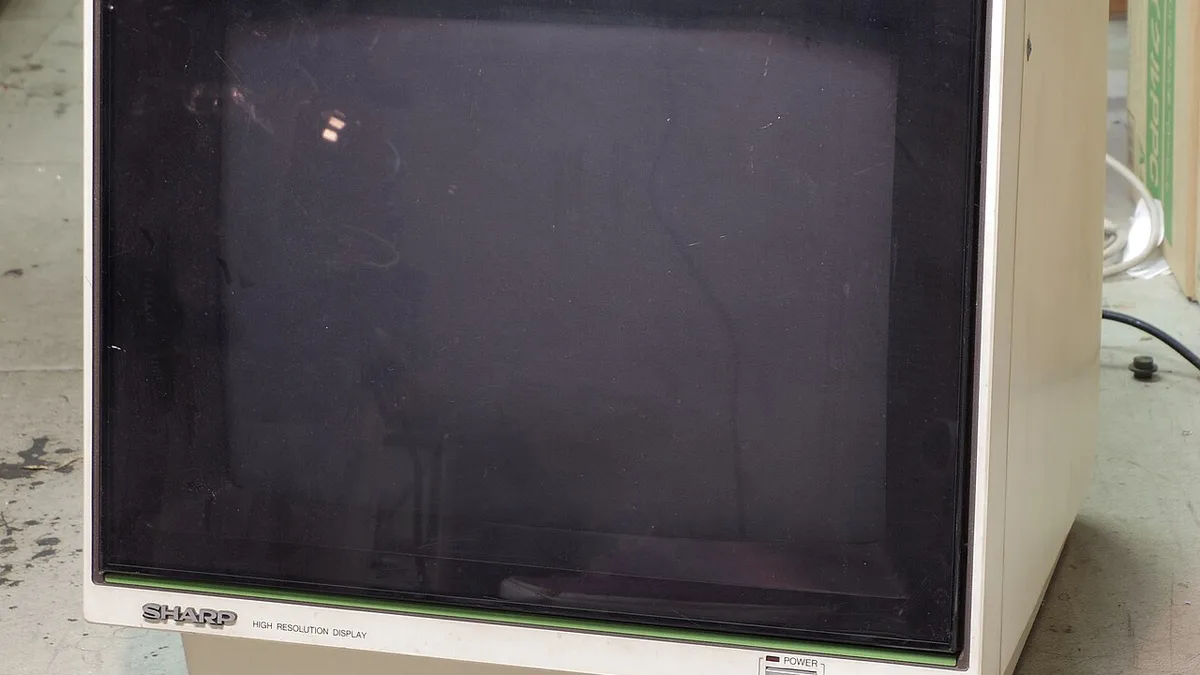 SHARP 14M-132C Digital RGB monitor (15835191273)