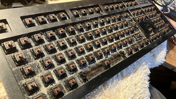 Das keyboard ohne Keycaps, Katzenhaare