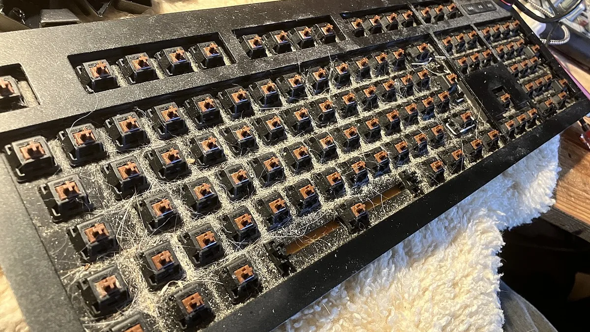 Das keyboard ohne Keycaps, Katzenhaare