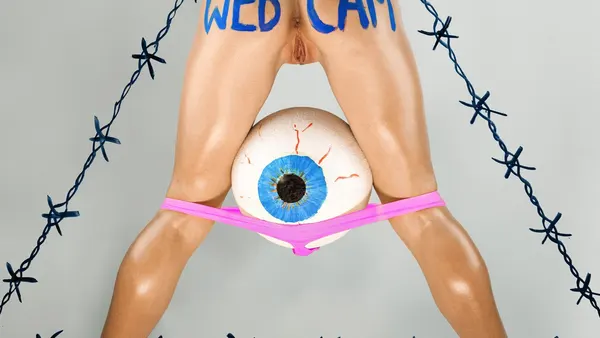 Webcam (33002899920)