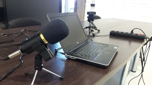 Microphone and webcam