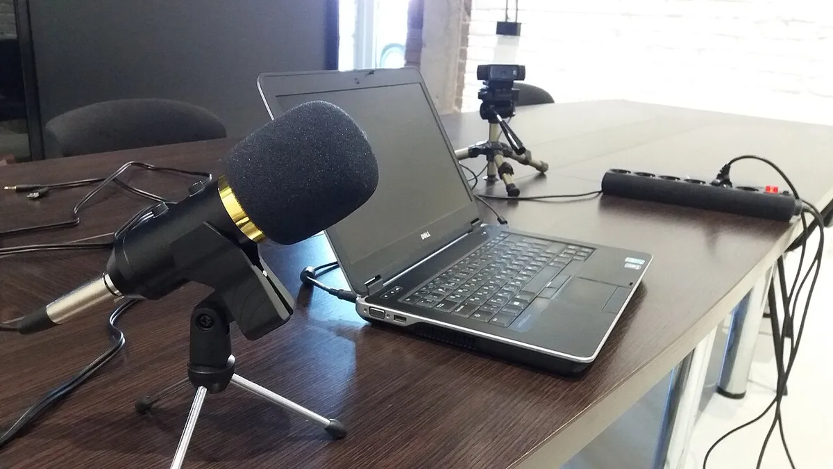Microphone and webcam