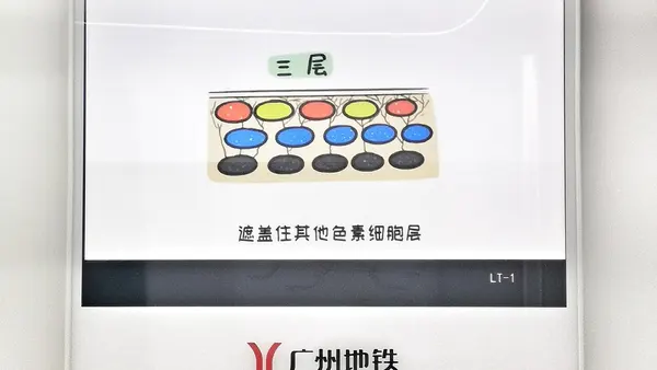 LCD screen of Guangzhou L5