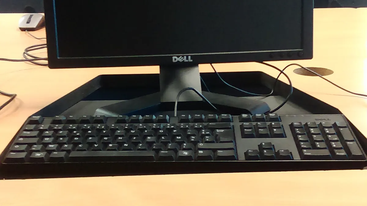 Dell LCD monitor