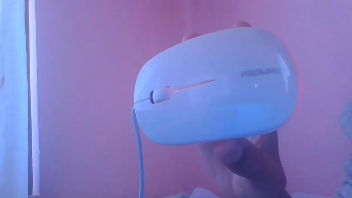 Computer mouse 4