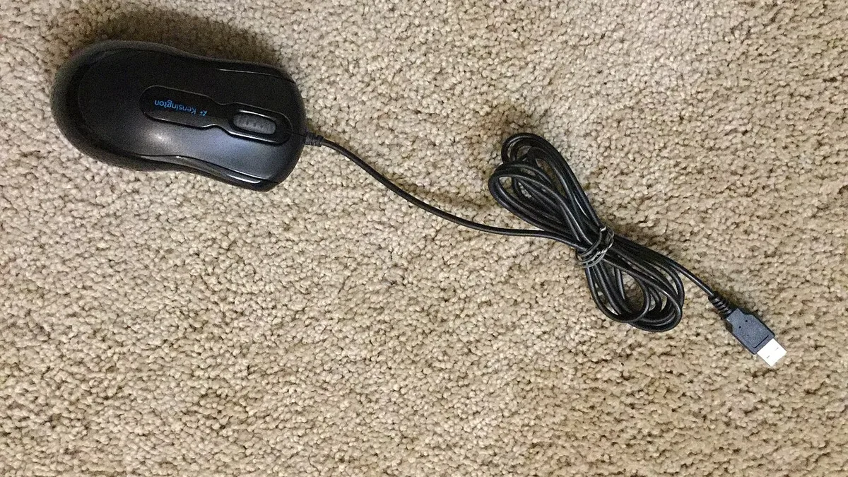 Computer mouse 1 2015-02-28