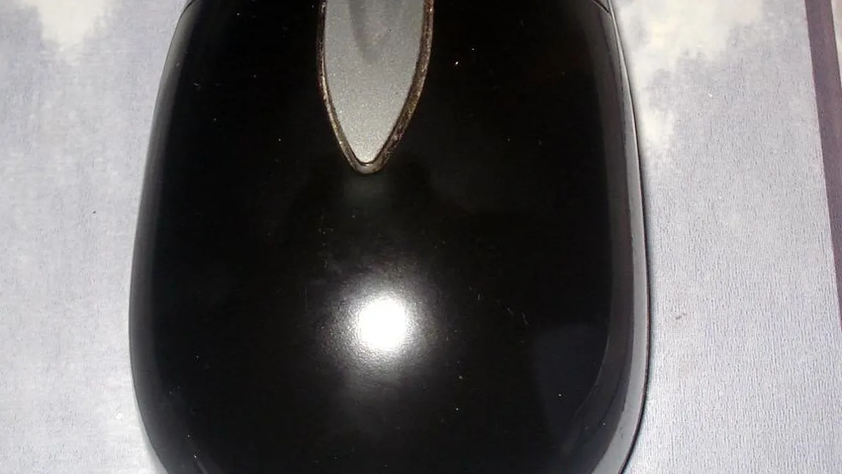 Computer mouse 3