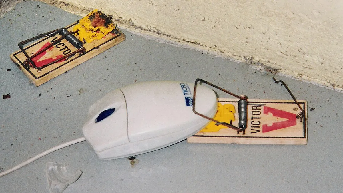 Computer mouse trap