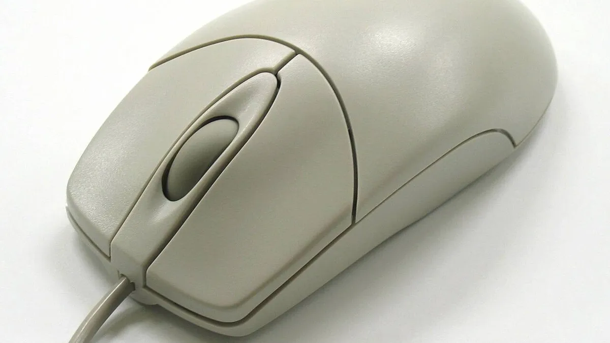 Wheel mouse