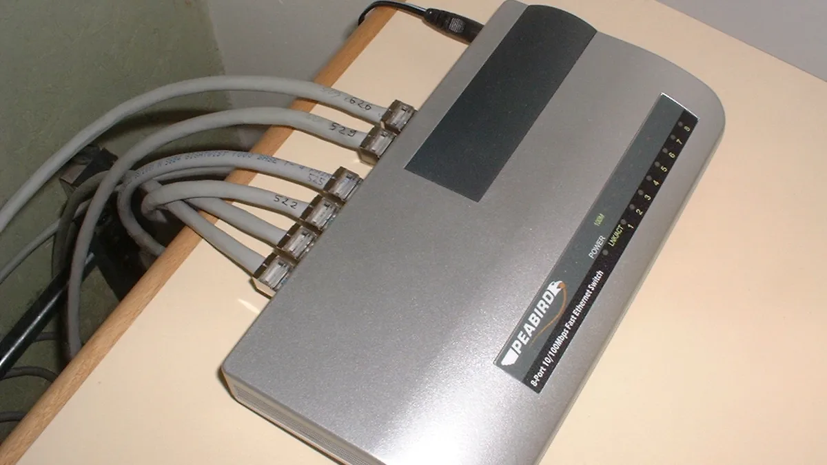 Peabird Ethernet switch in 2003