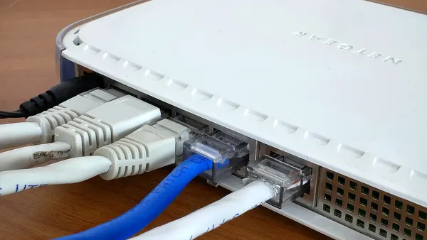 Network cables plugged to router 20170903
