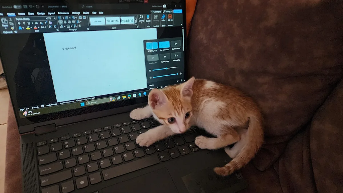 Laptop Lucy