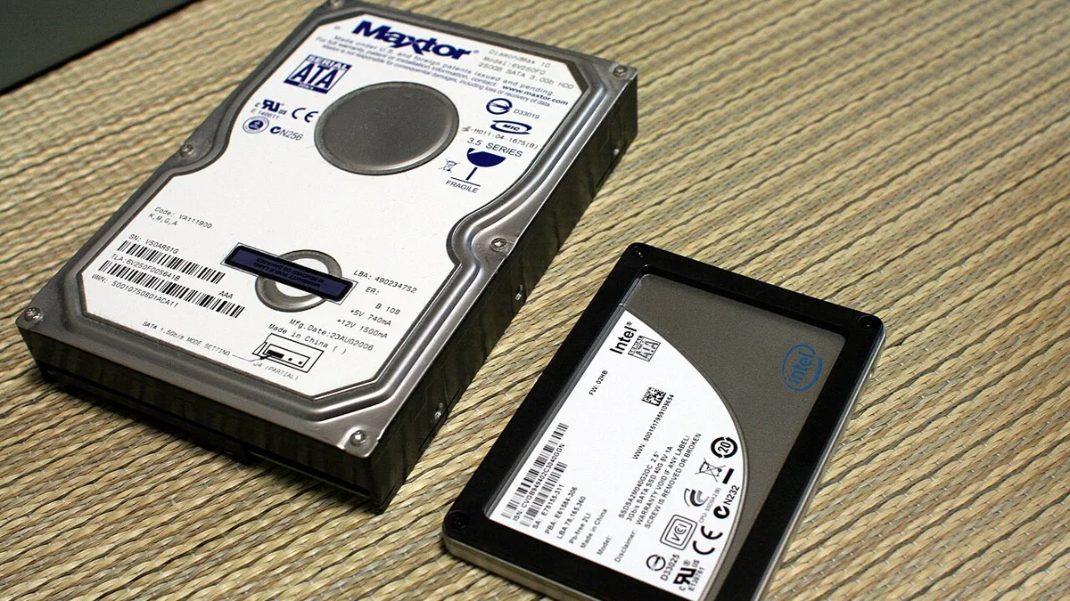 Maxtor HDD and Intel SSD 20100117